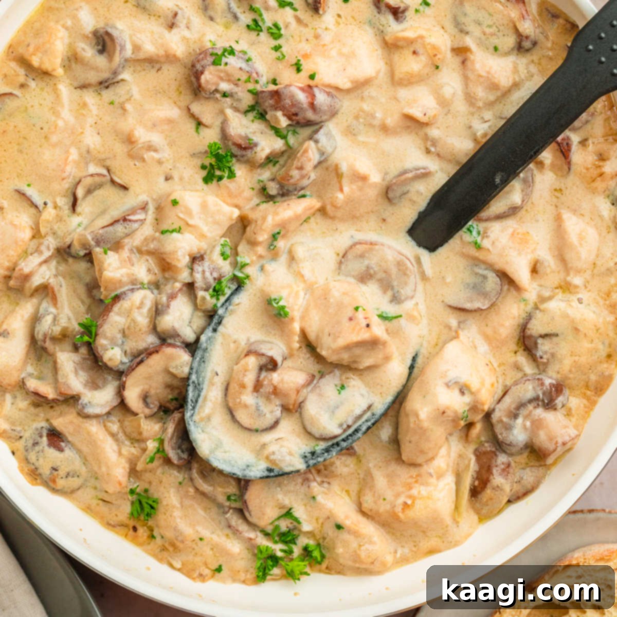 Louisiana Chicken Stroganoff 1 featured 13497