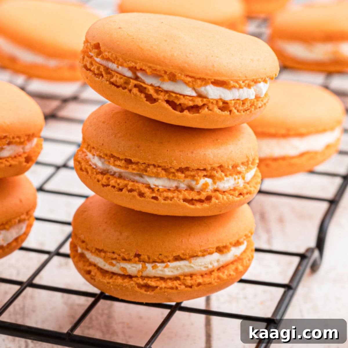 Harvest Pumpkin Macaron Bites 1 featured 8397