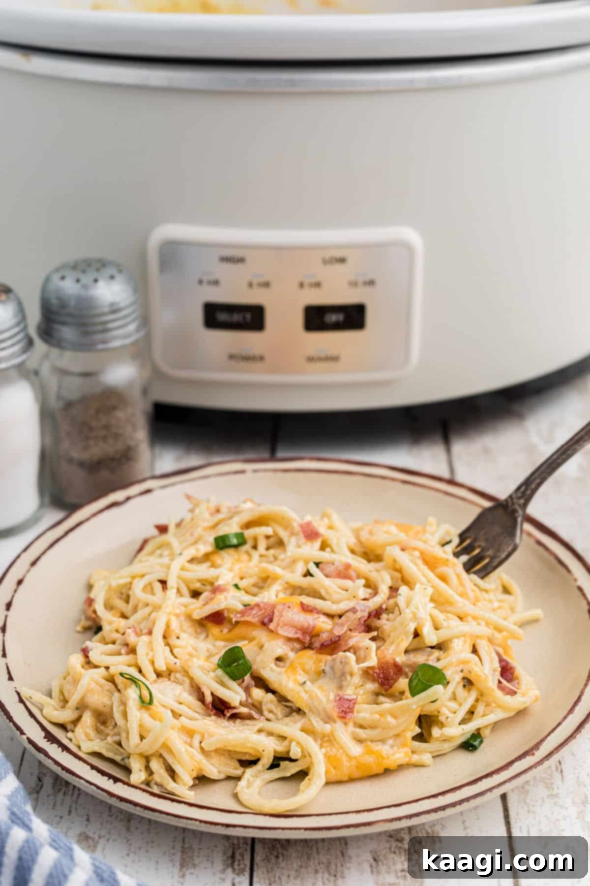 Creamy Slow Cooker Ranch Chicken Spaghetti 16 A perfectly plated serving of Crock Pot Ranch Chicken Spaghetti, garnished with fresh green onions, inviting a delicious meal.