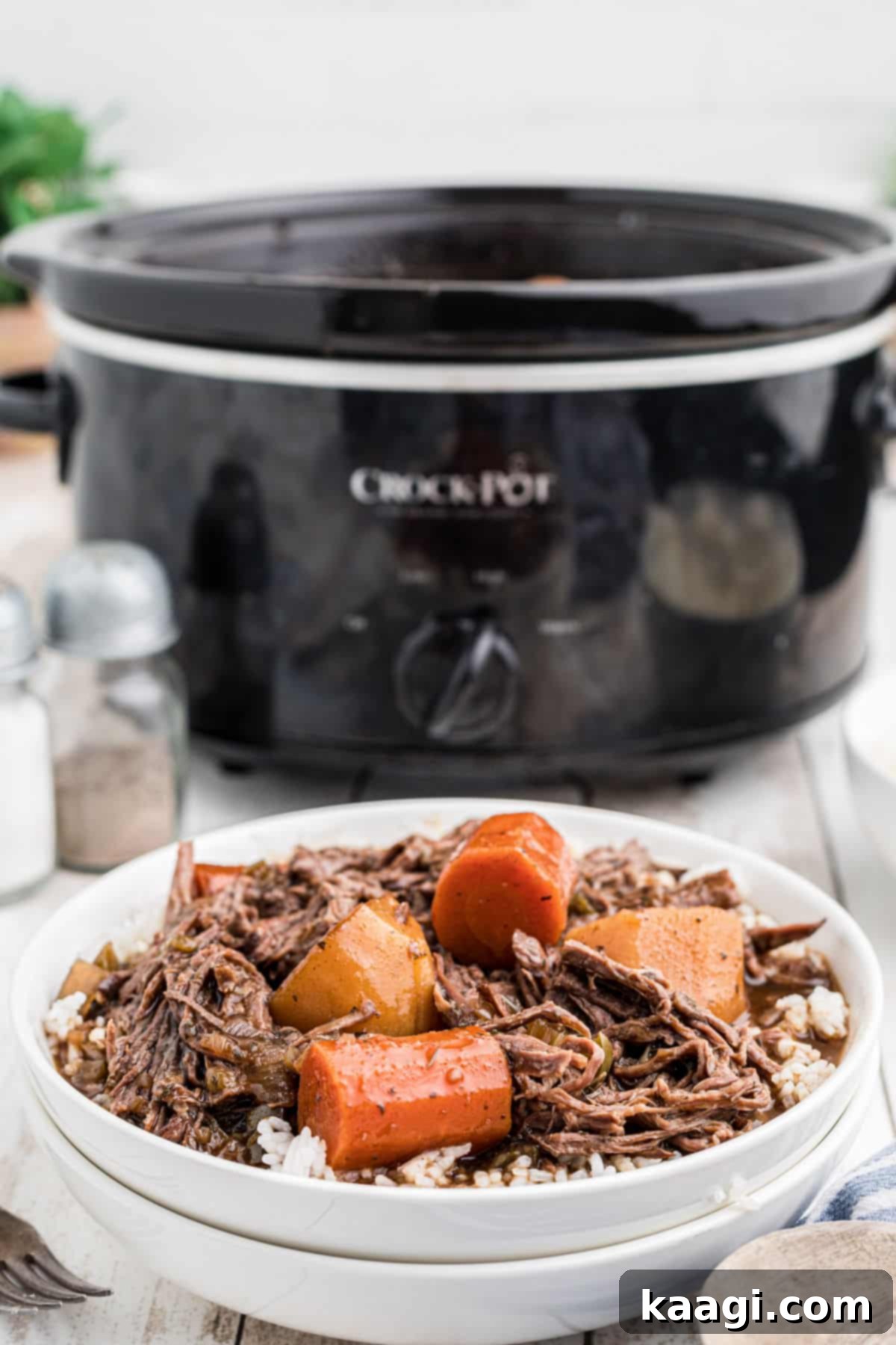 Red Wine Braised Venison Pot Roast 5 Dished out slow cooker venison roast with red wine, over rice.