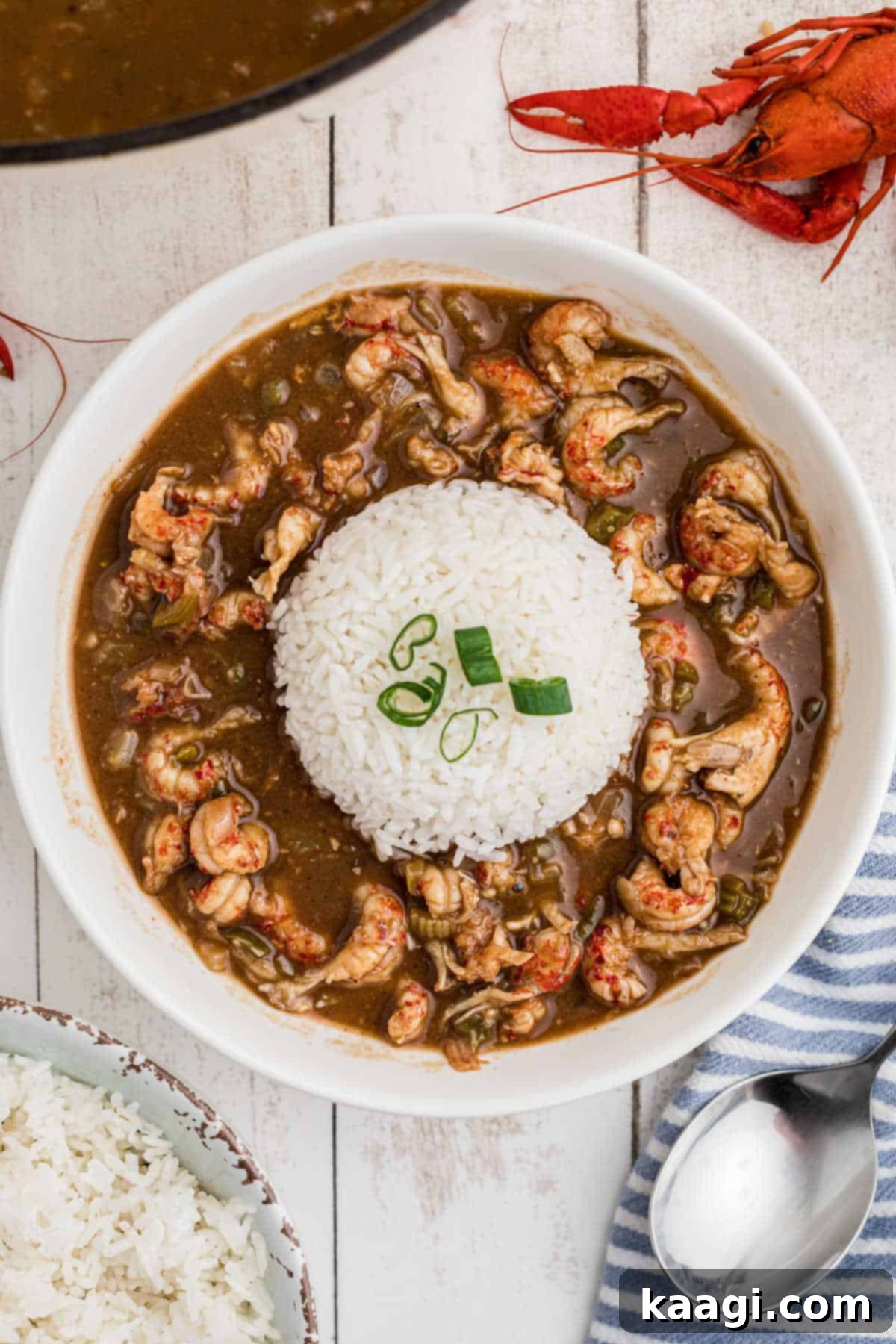 Overhead shot of a bowl of rich, red-brown crawfish stew with a heap of fluffy white rice in the middle, garnished with green onions.
