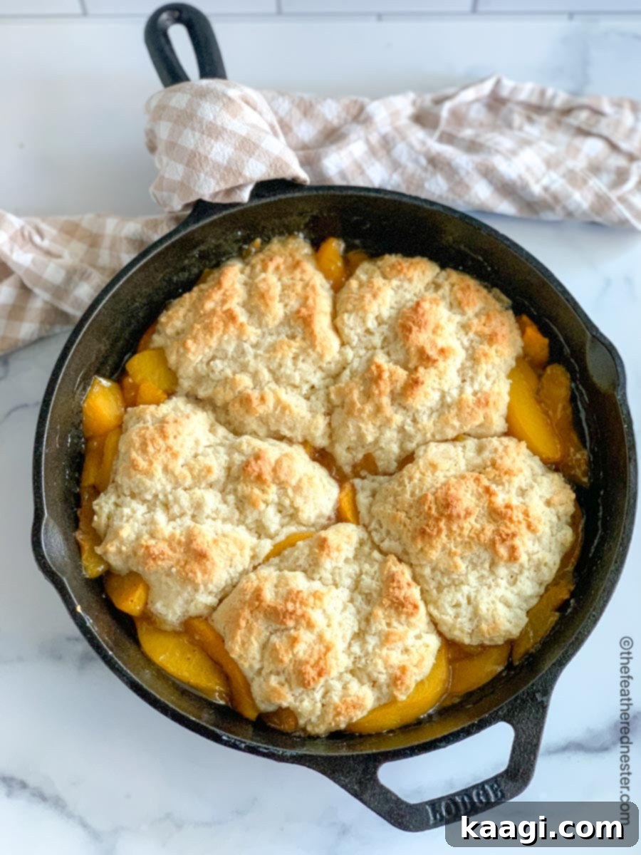 Southern Skillet Classics 44 A golden-brown Bisquick Peach Cobbler, bubbling with juicy peaches, baked in a cast iron dish.