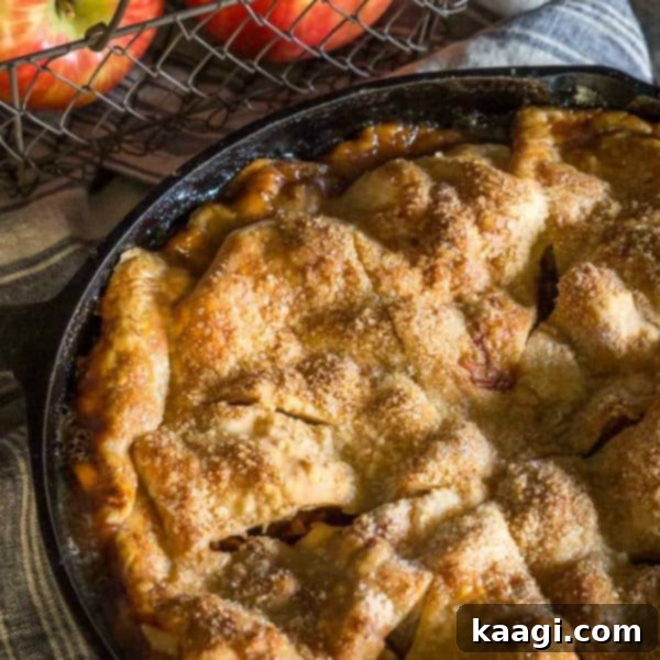 Southern Skillet Classics 45 A comforting Rustic Cast Iron Skillet Apple Pie, with thick cinnamon apples on a crust, sitting in a layer of hot buttery caramel.