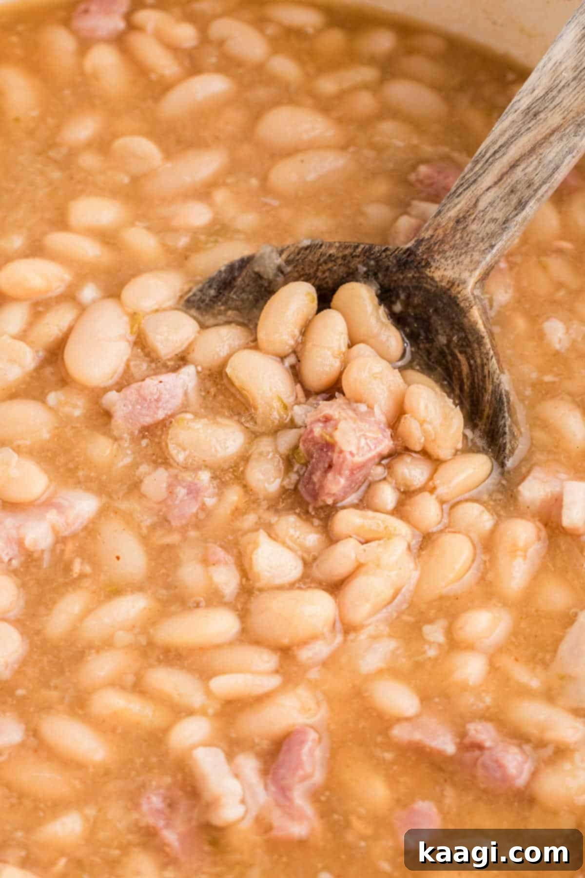 Close up of great northern beans on a spoon.