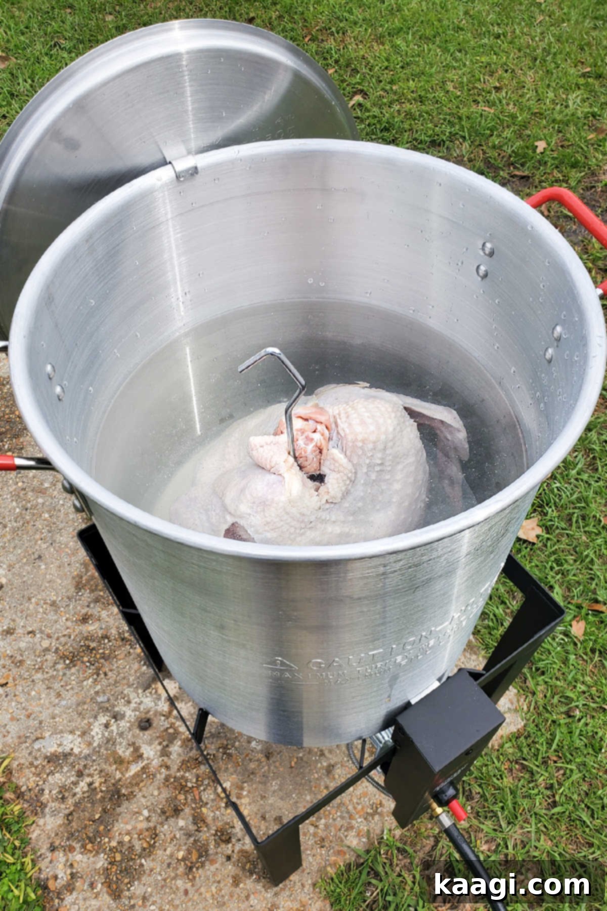 Crisp and Juicy Turkey Triumph 5 A large frying pot with a turkey submerged in water to measure the correct oil level.