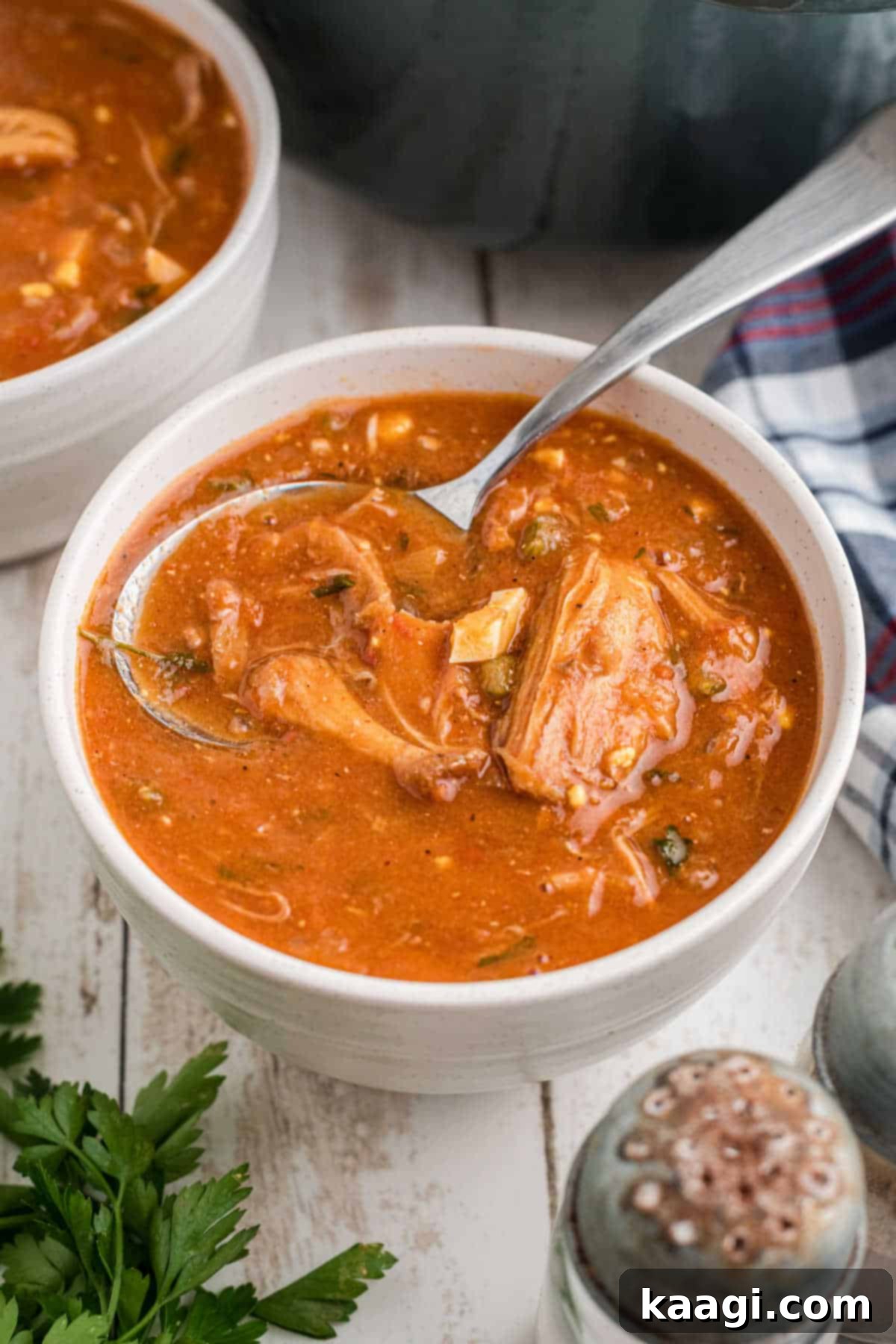 A ceramic bowl filled with steaming Louisiana turtle soup, a spoon partially submerged, ready to be enjoyed.