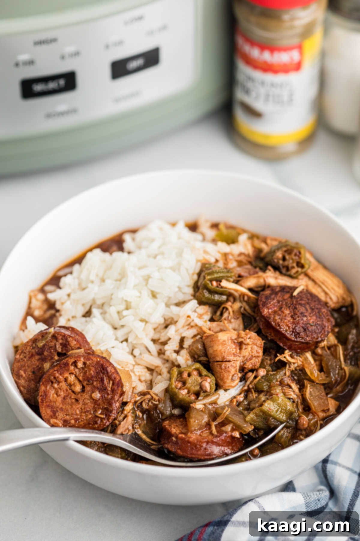 A bowl of gumbo with rice, in front of a slow cooker, highlighting a ready-to-serve meal.