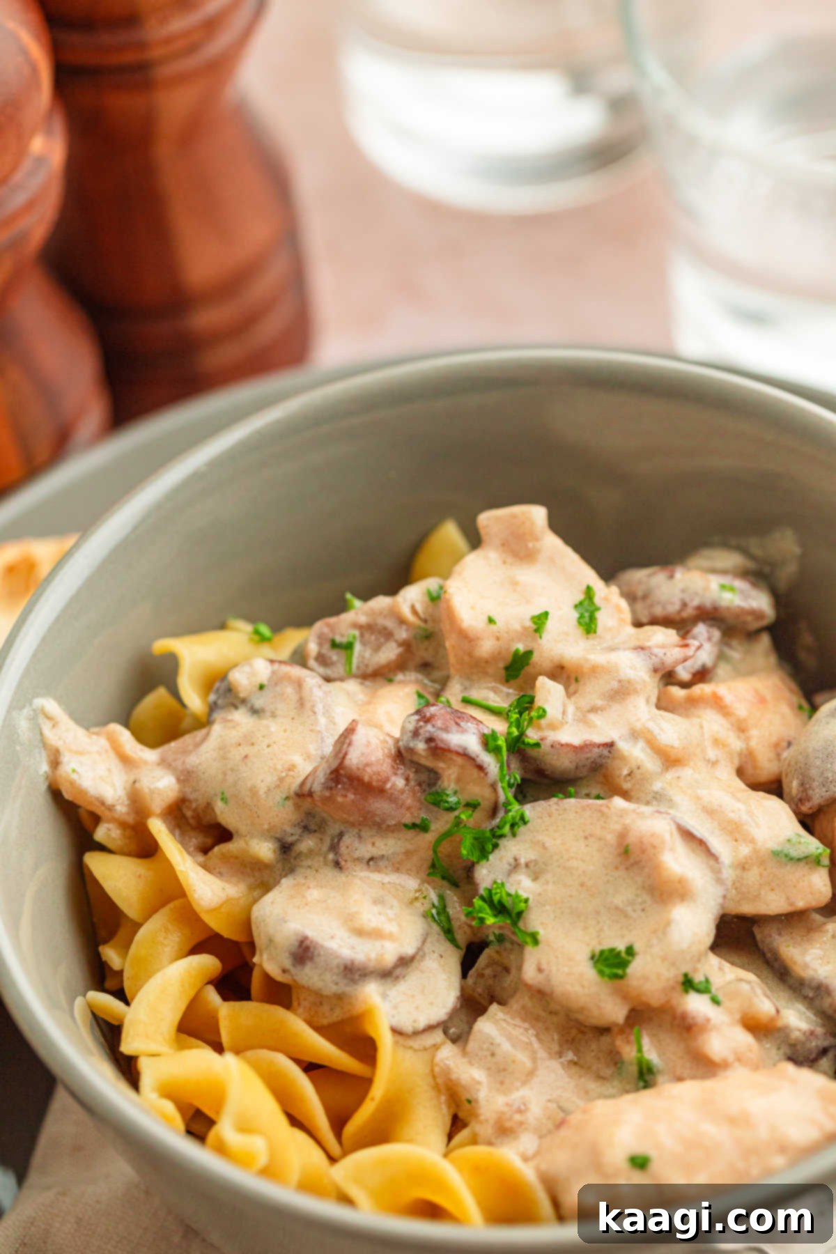 Louisiana Chicken Stroganoff 12 Close up of a bowl of noodles with Cajun chicken stroganoff.