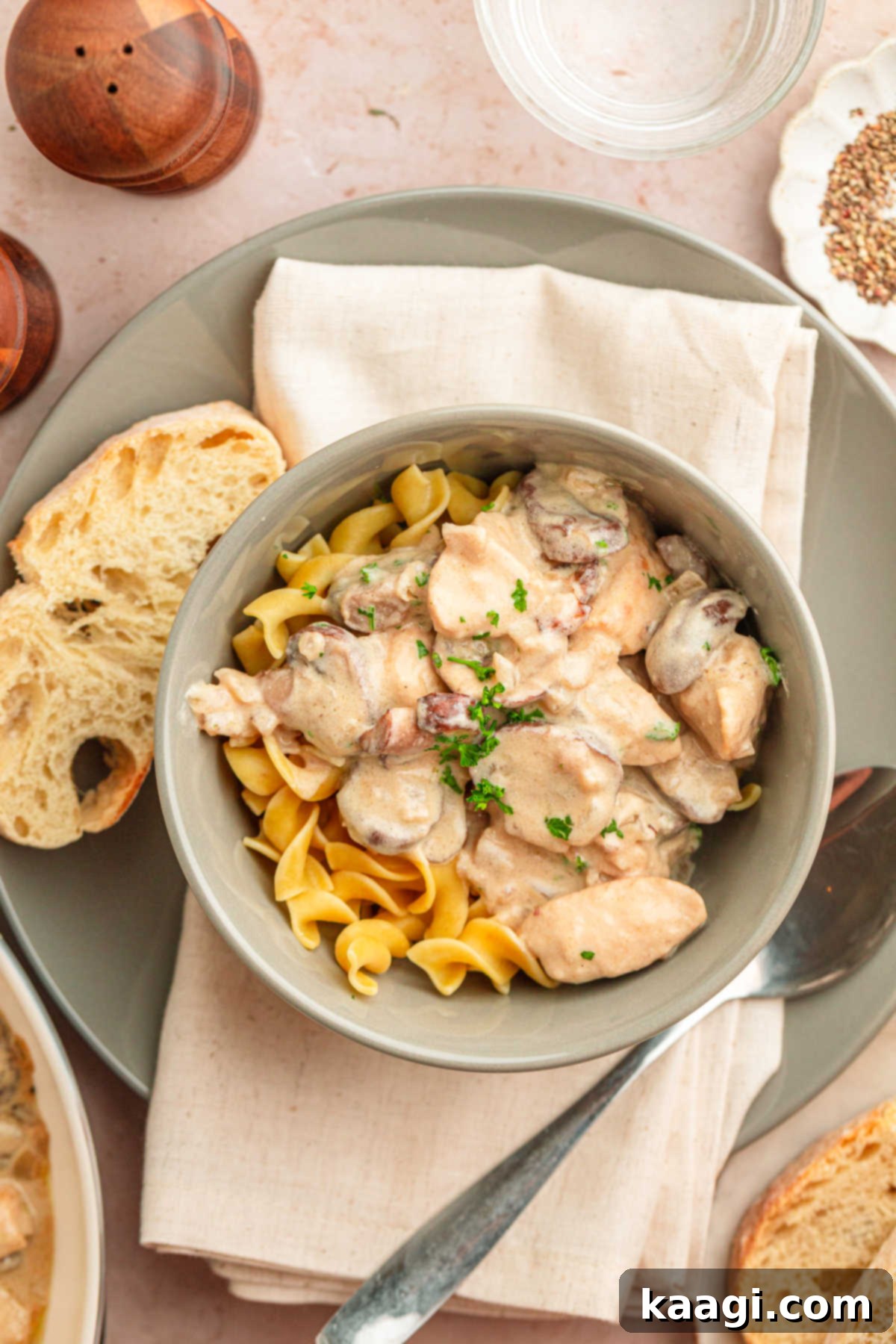Louisiana Chicken Stroganoff 10 Overhead image showing a bowl of egg noodles with Cajun chicken stroganoff over the top.