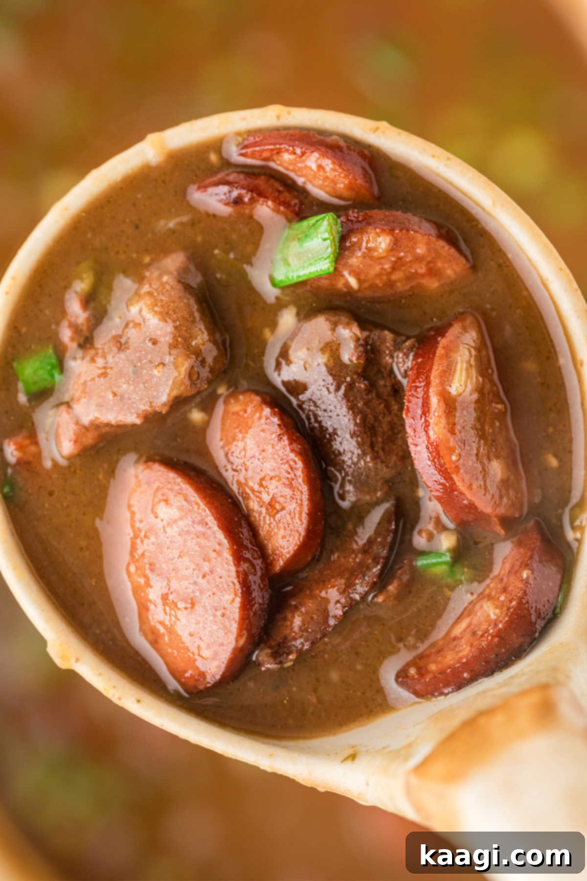 Swamp Hen Gumbo 2 Overhead shot of a ladle filled with coot gumbo, or poule d'eau gumbo, ready to be served over rice.