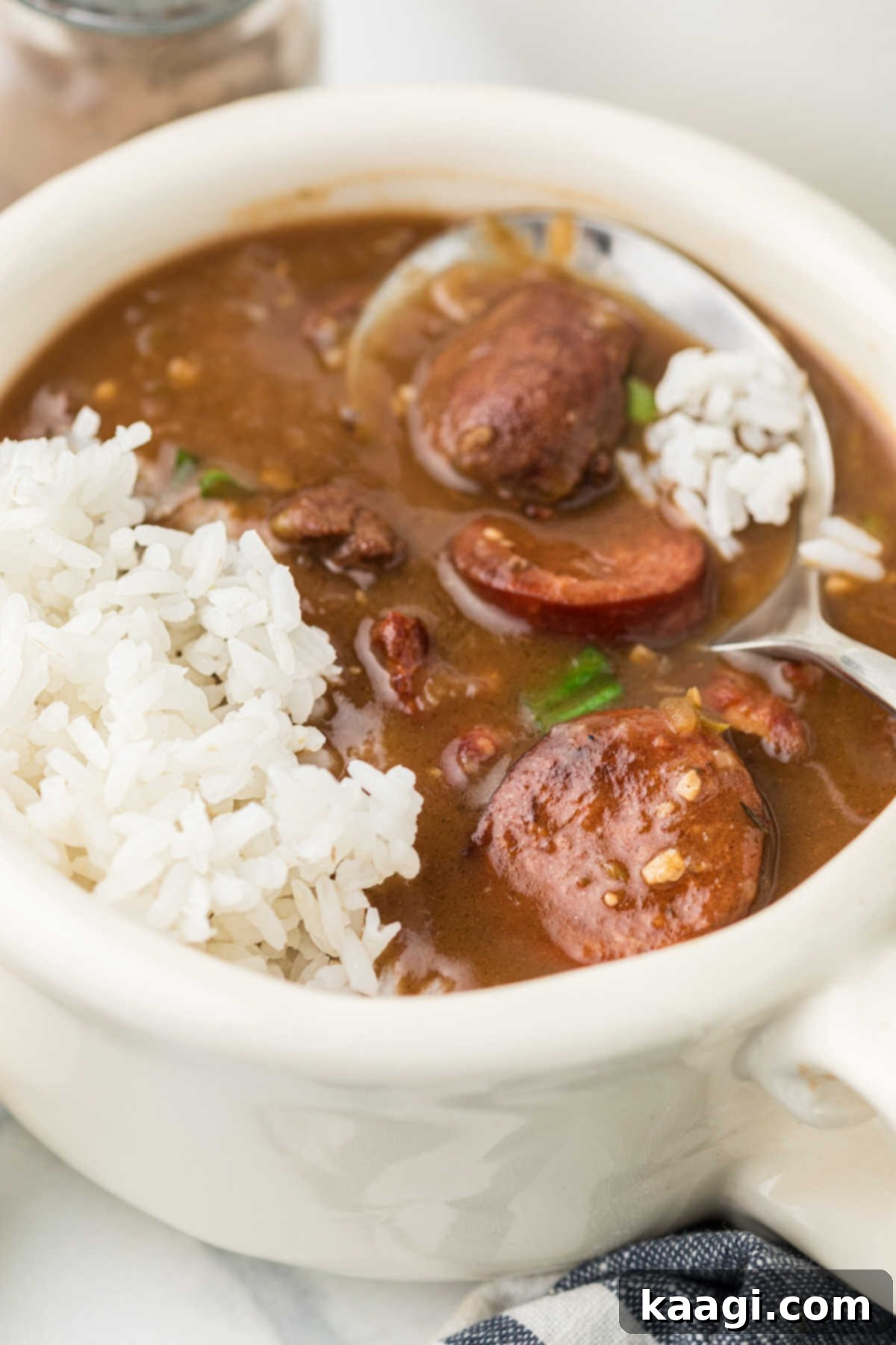 Swamp Hen Gumbo 7 Close up of a bowl full of Poule D'eau Gumbo with rice, ready to eat.