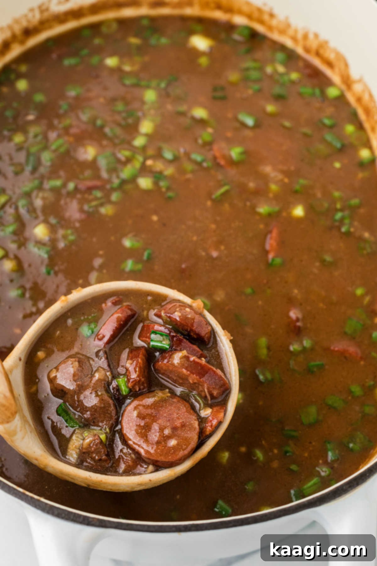 Swamp Hen Gumbo 6 Pot full of poule d'eau gumbo with a ladle spoon some out, garnished with fresh green onions.
