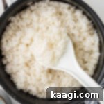 Overhead shot of a pan of fluffy white rice.