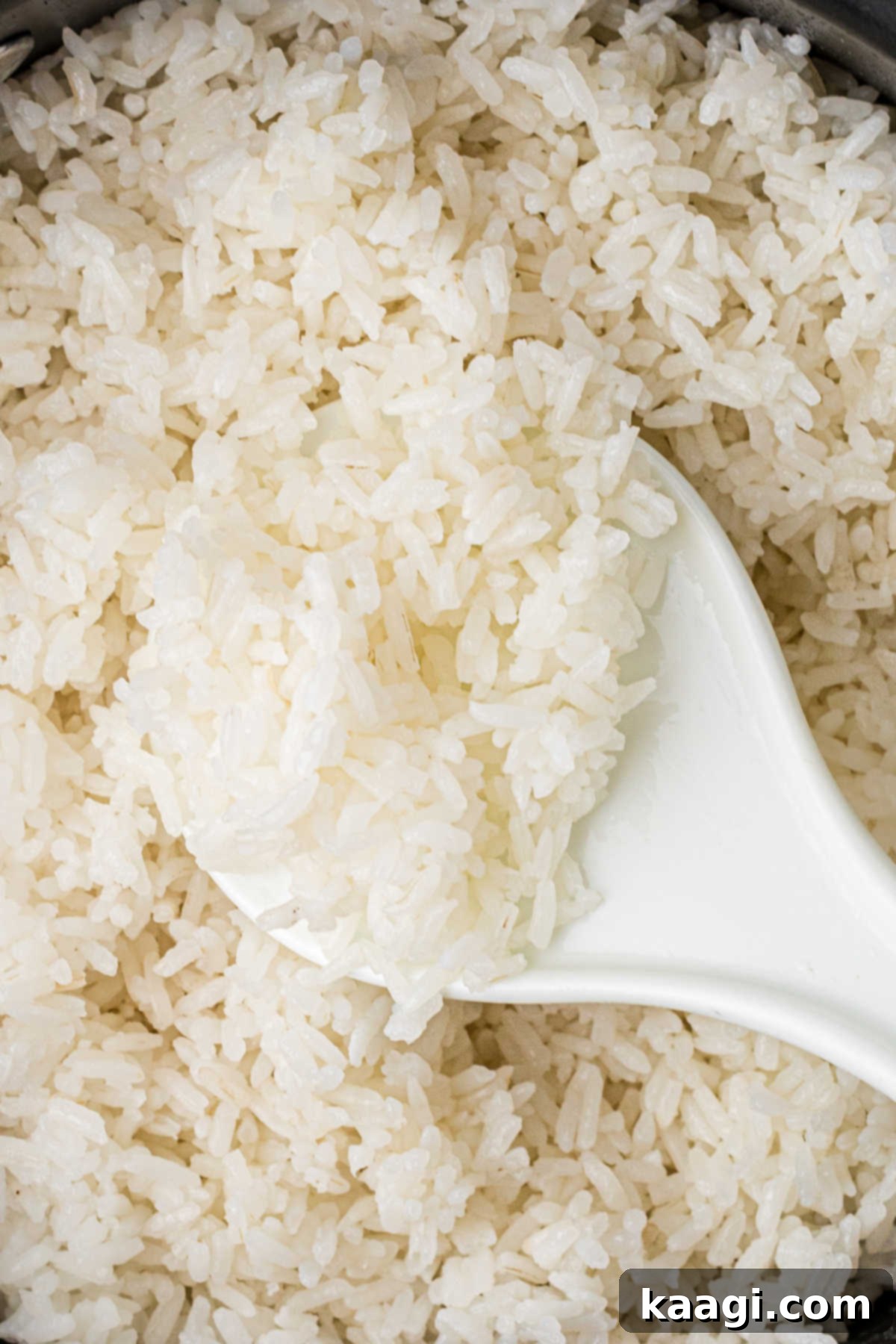Close up picture of a pot of perfectly cooked white rice.