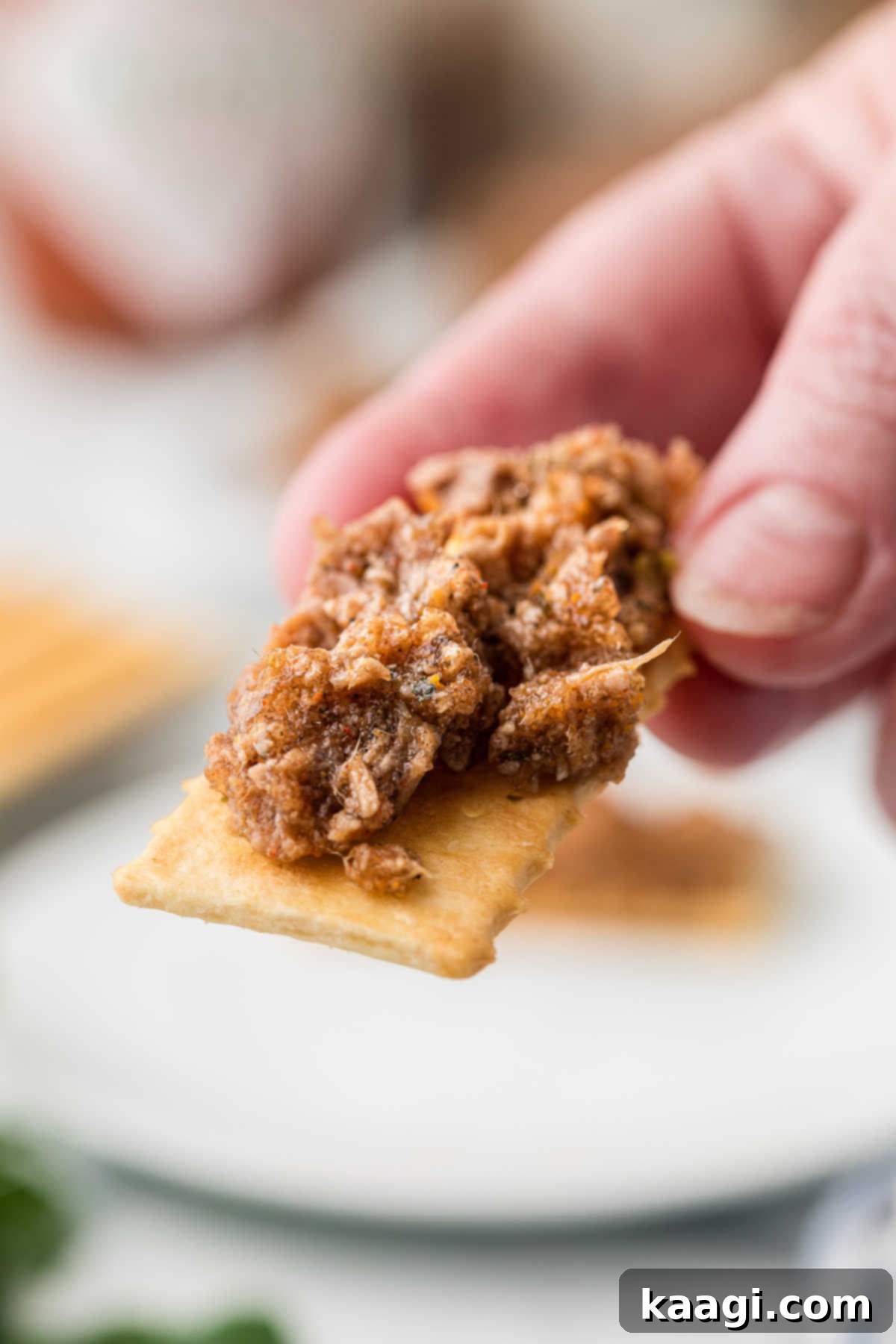 A hand holding a cracker topped with a slice of mock hog head cheese, ready to be enjoyed as a savory snack.