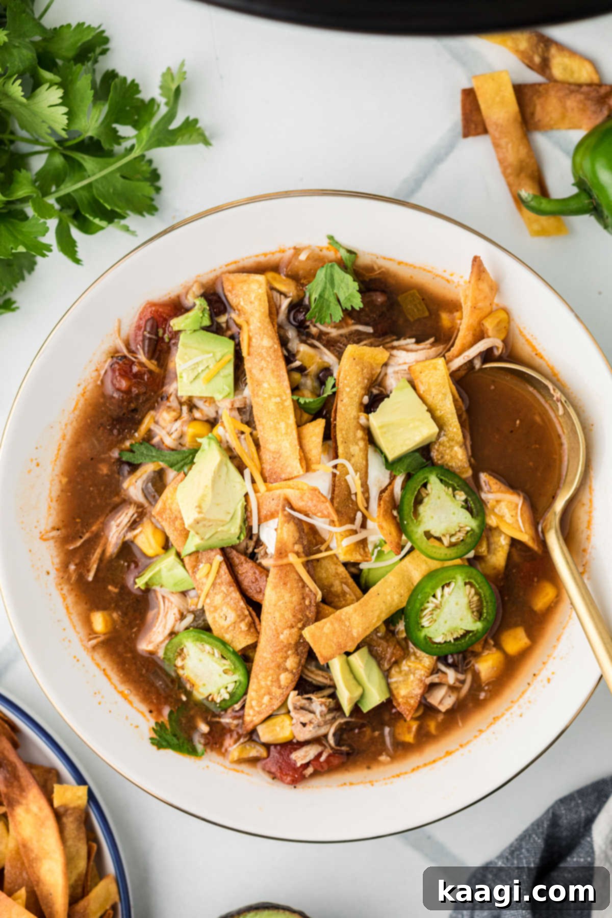 An overhead view of a perfectly garnished bowl of slow cooker chicken tortilla soup, ready to be enjoyed.