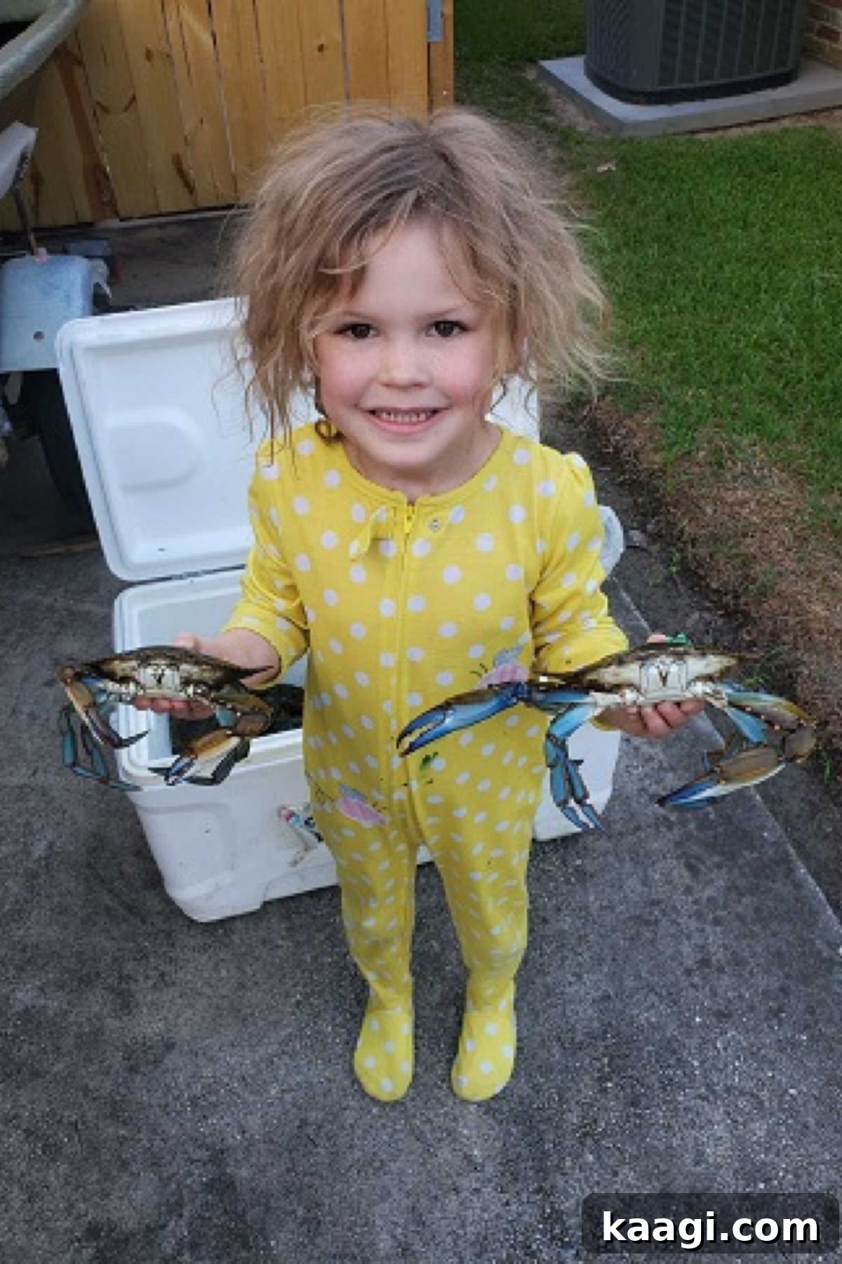 A little girl in yellow pajamas holding two blue crabs, a cute scene after a day's catch.