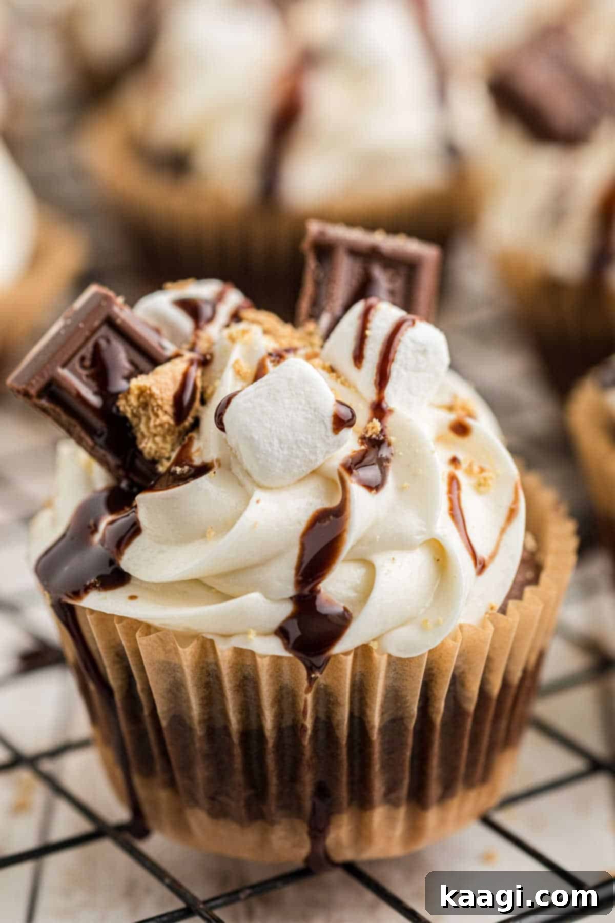 Close up of S'mores cupcakes, showing a toasted marshmallow topping on a chocolate cupcake with graham cracker crumbs.