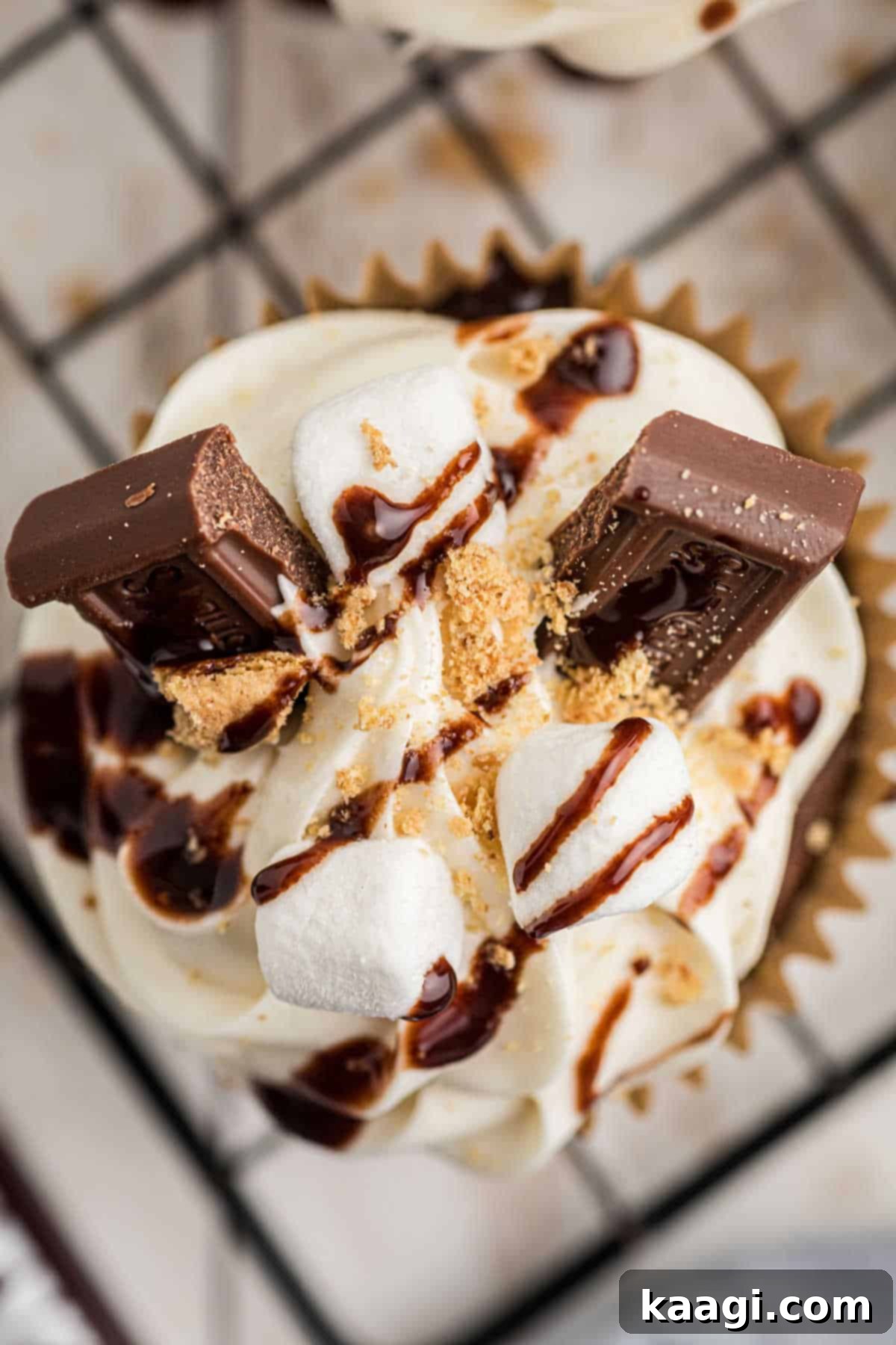 Overhead shot of a beautifully decorated S'mores cupcake, topped with graham cracker crumbs, mini marshmallows, and chocolate drizzles.