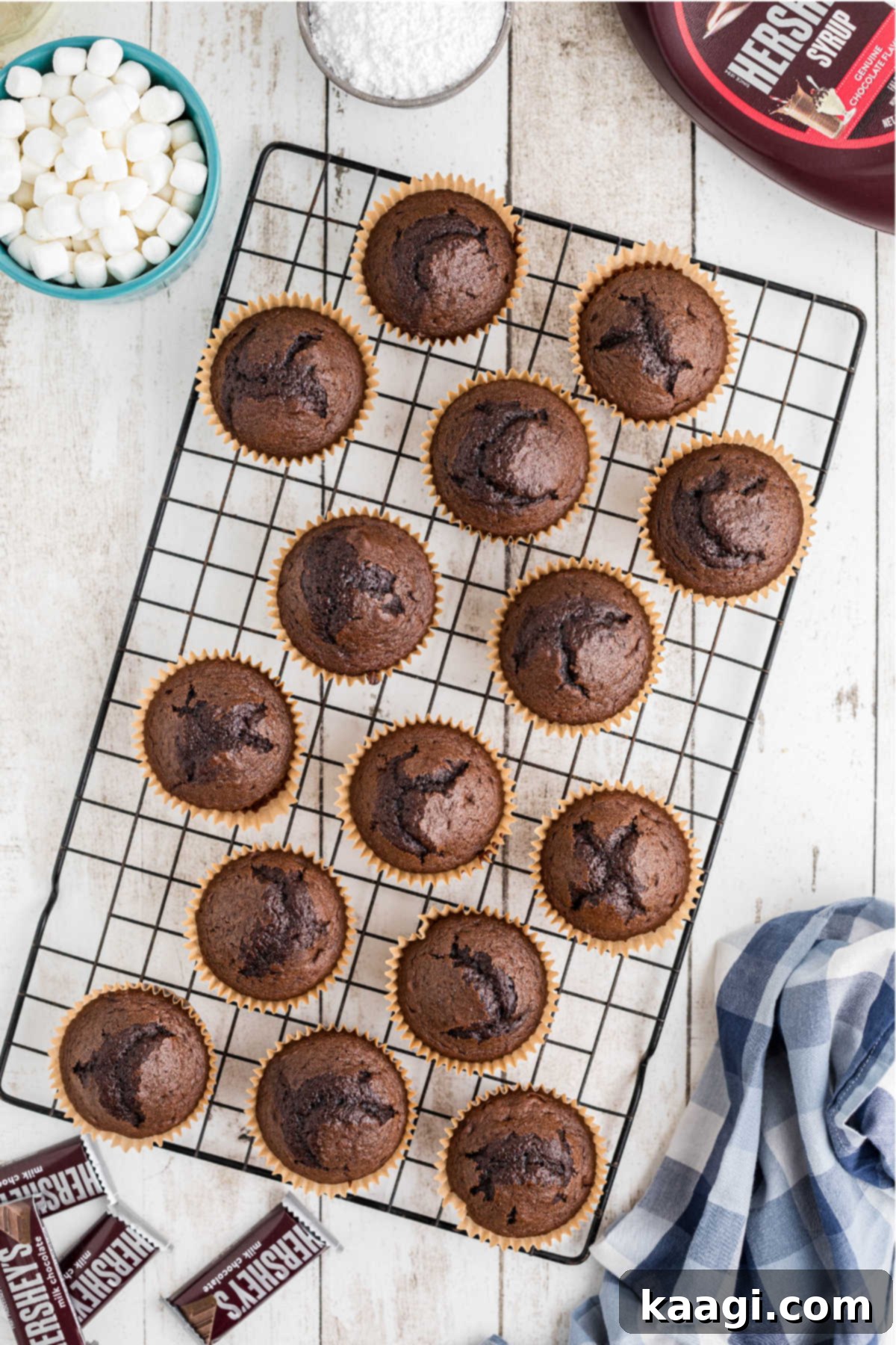 Freshly baked chocolate cupcakes with graham cracker crusts, cooling completely on a wire rack.