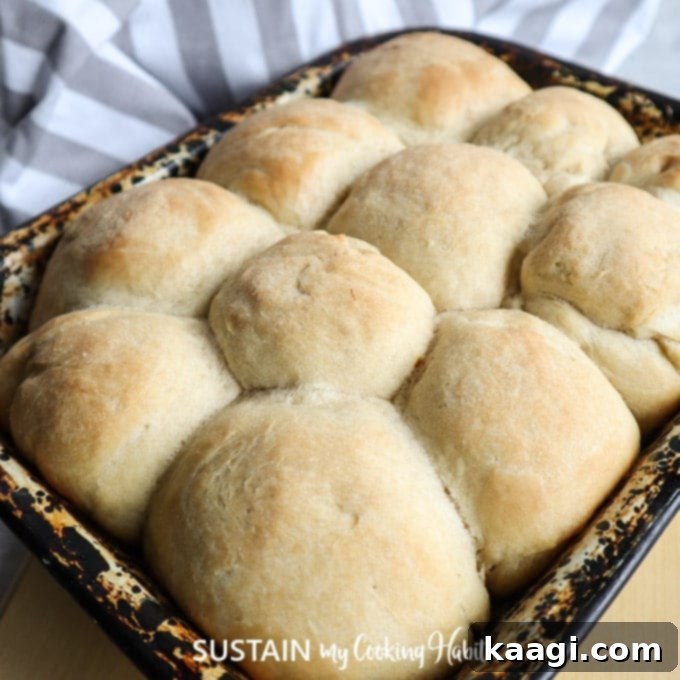 Warm, soft easy homemade dinner rolls, ready to complement any meal.