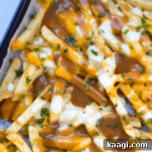 Disco Fries smothered in homemade brown gravy and topped with gooey mozzarella cheese, a decadent late-night snack.
