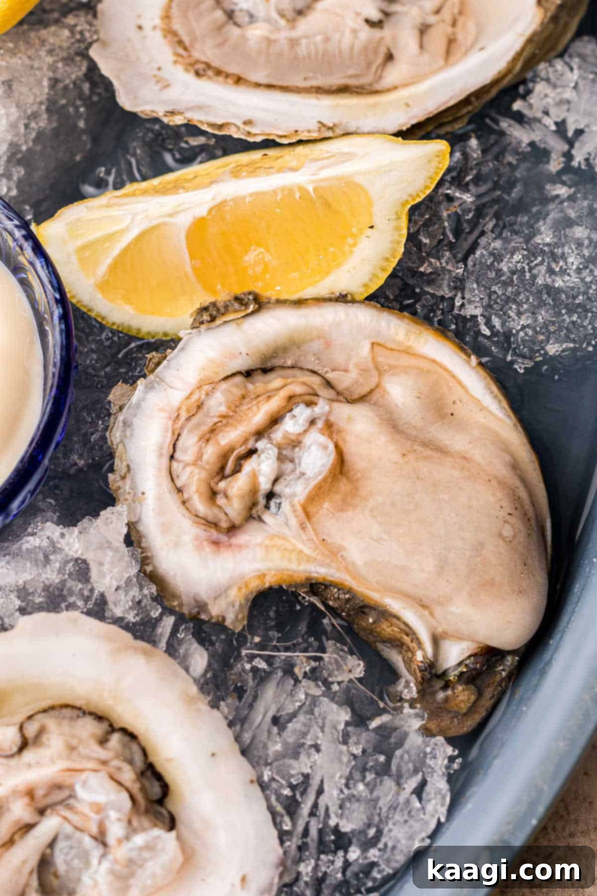 Close up of an oyster on the half shell, ready to be enjoyed.