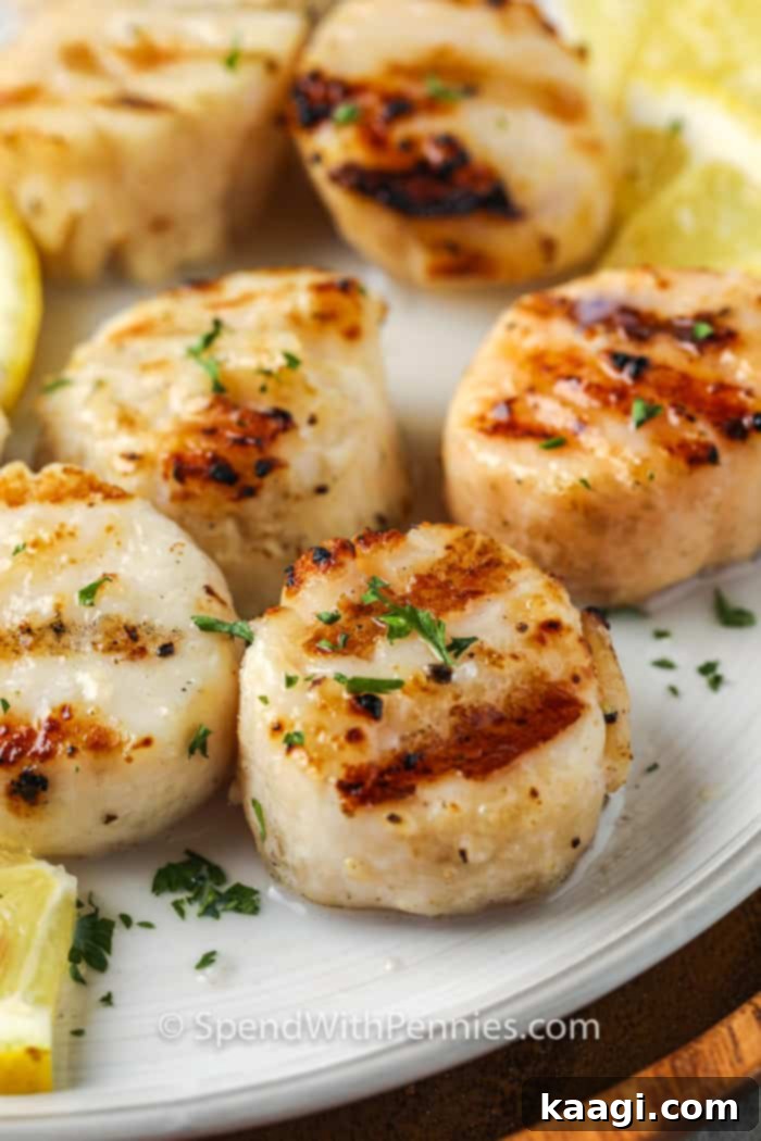 Quick and easy grilled scallops with garlic and lemon