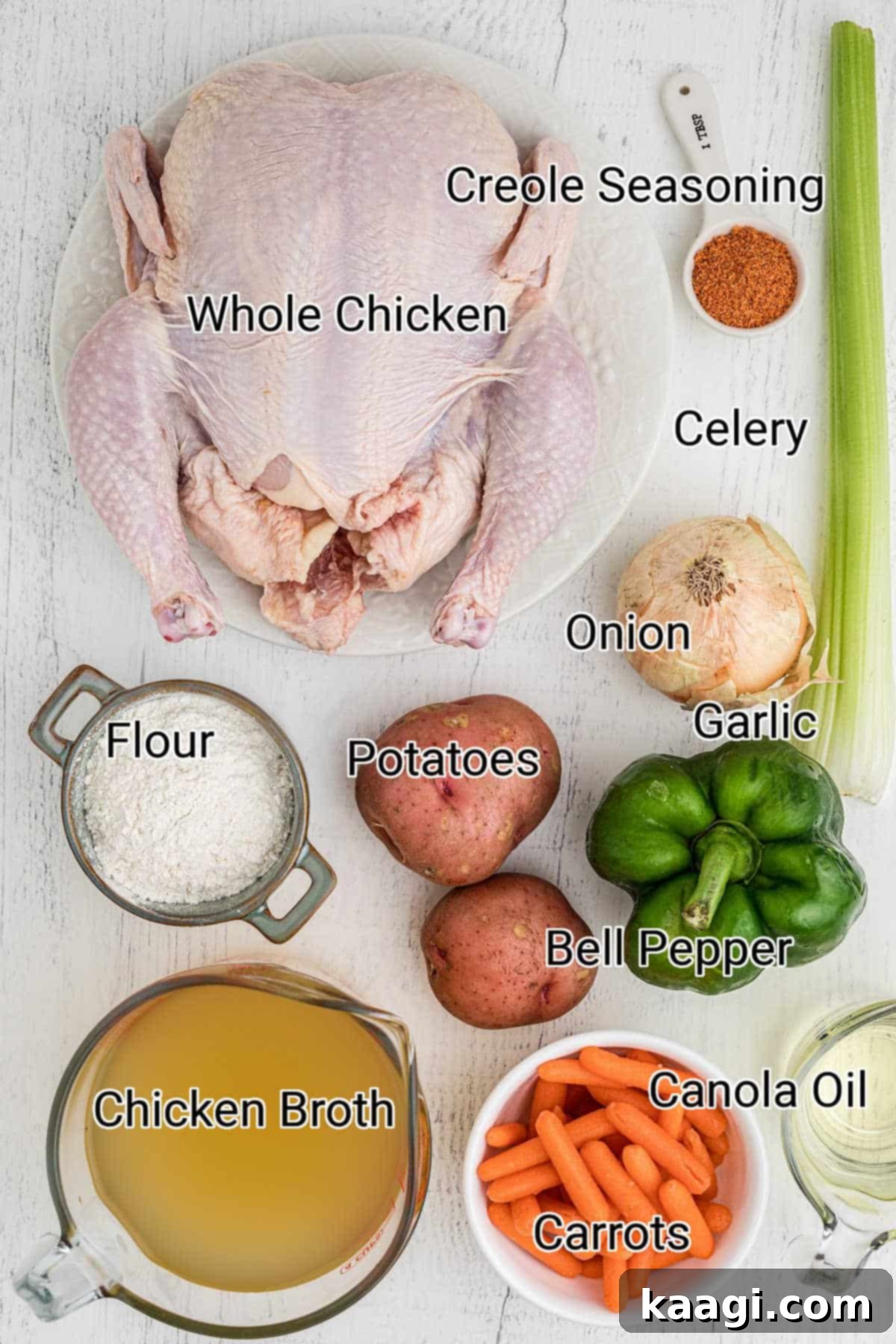 ingredients all laid out showing how to make a chicken stew