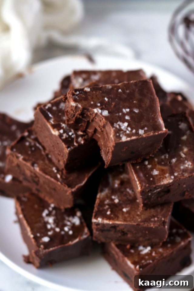 76 Effortless Christmas Goodies 24 Best Chocolate Fudge with a smooth texture