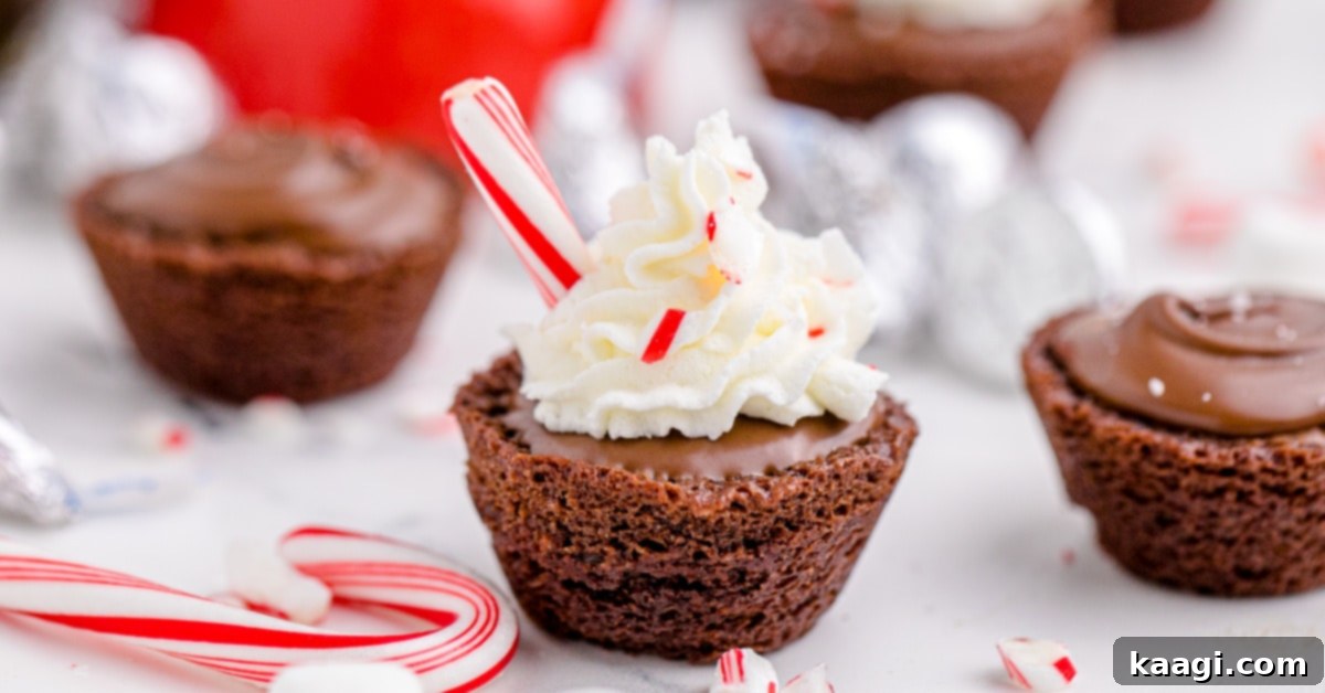 The Only 5 Brownie Recipes You'll Ever Need 7 Close up of delightful hot chocolate brownie bites, adorned with whipped cream and festive peppermint sticks, a perfect small brownie treat.