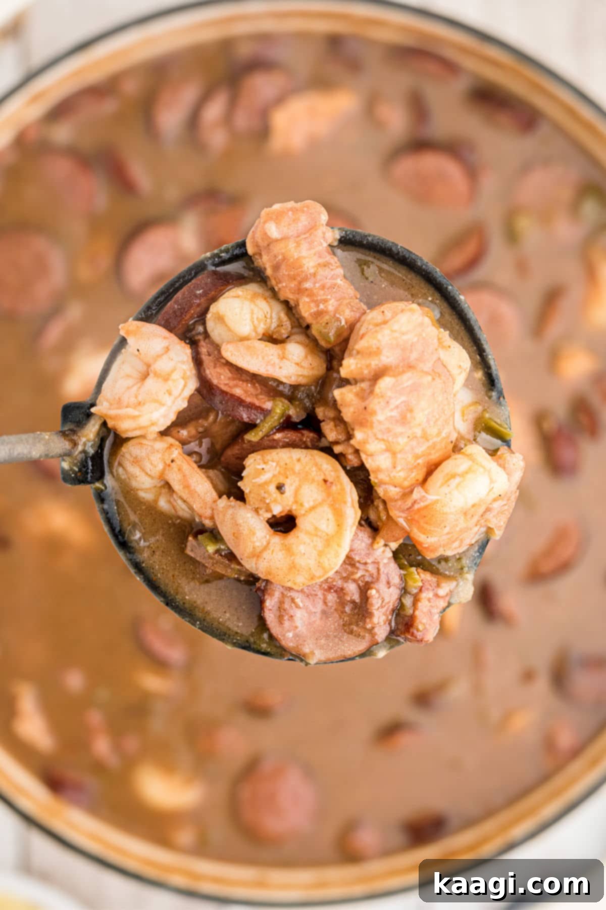 Cajun Gator's Cauldron 2 a ladle full of alligator gumbo - with shrimp alligator and sausage