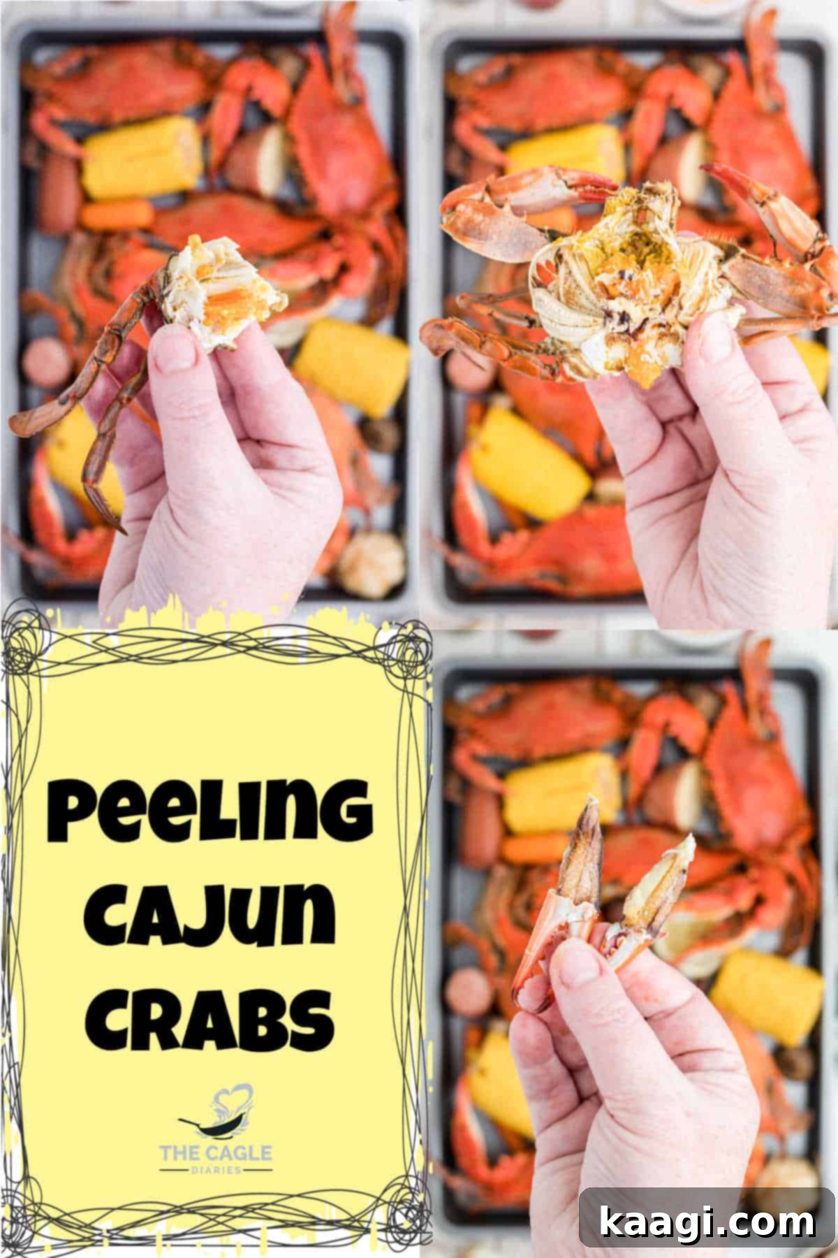 Three images illustrating different sections of a crab where meat can be extracted.