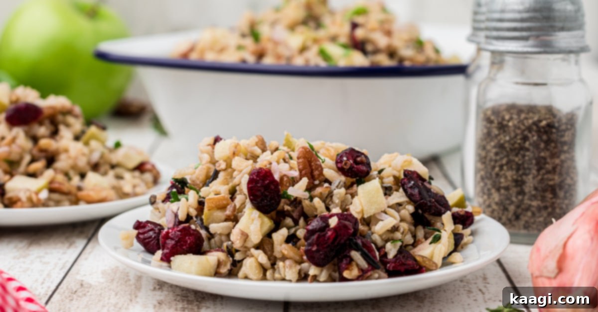 a plate of rice pilaf with cranberries close up in front of a dish