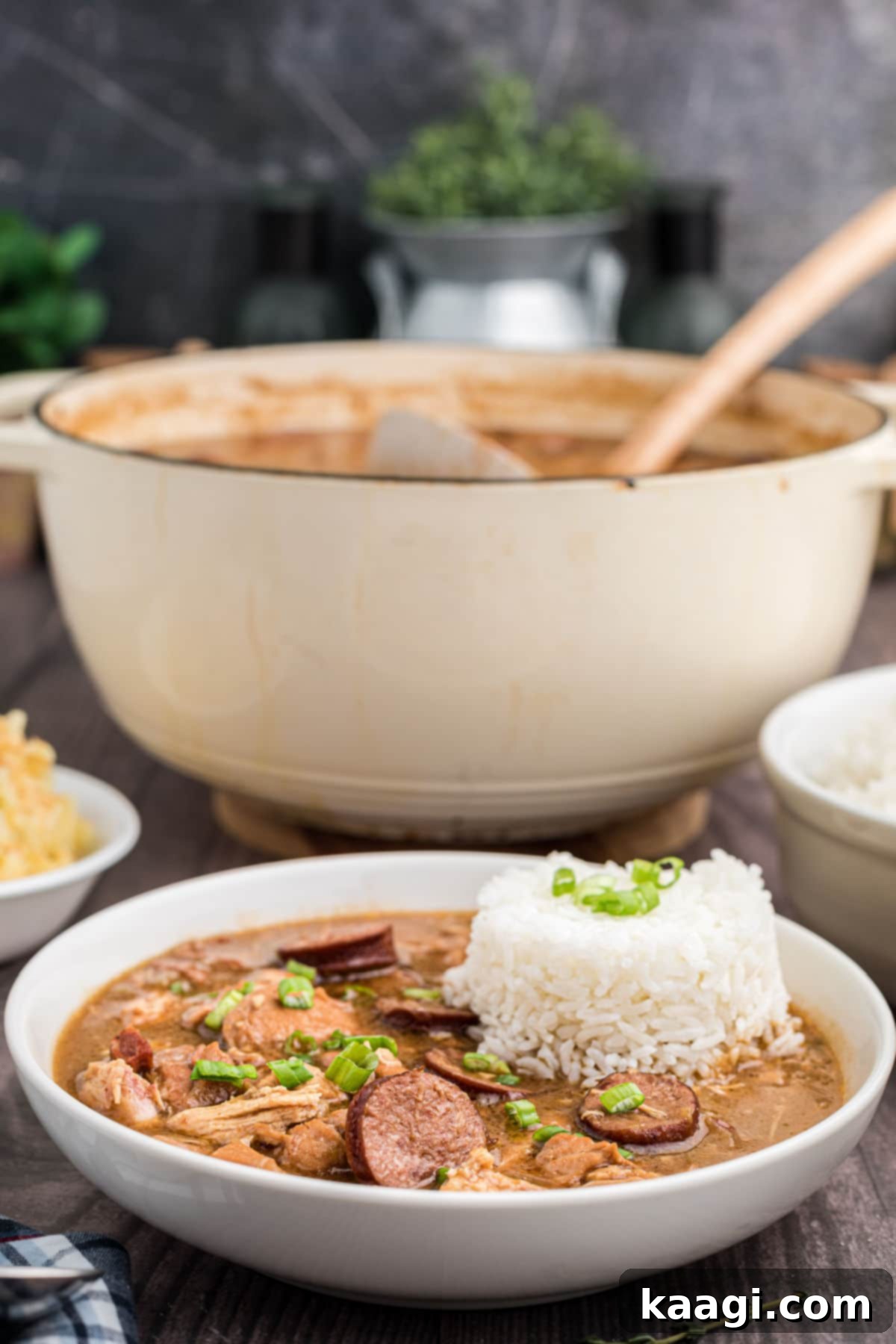 a bowl of chicken and sausage gumbo with a scoop of rice on top, in the background is the pot with a ladle sticking out