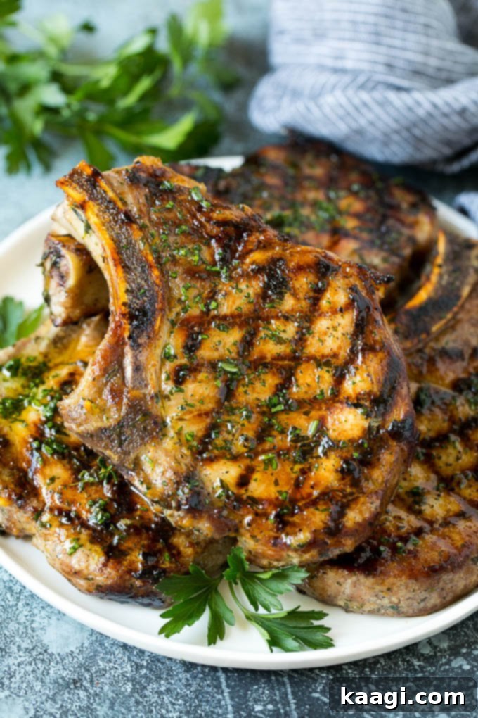Southern Grilling Essentials 11 Golden brown grilled pork chops soaked in a flavorful marinade.