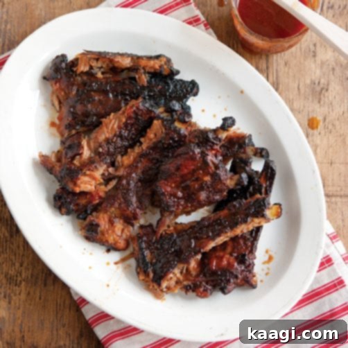 Southern Grilling Essentials 25 Flavorful dry-rubbed ribs with a rich, seasoned crust.
