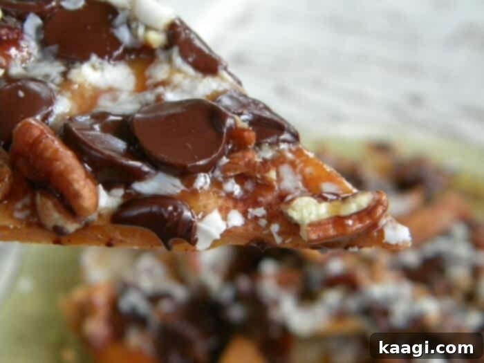 Southern Grilling Essentials 41 Sweet grilled dessert nachos made with fried tortillas, cinnamon, sugar, chocolate, and caramel.