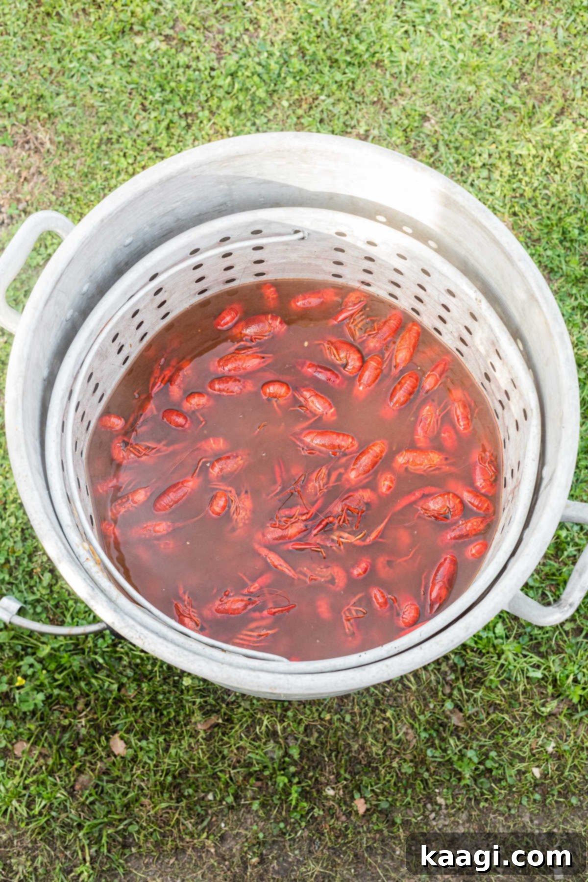 A large boiling pot with boiled crawfish and water.