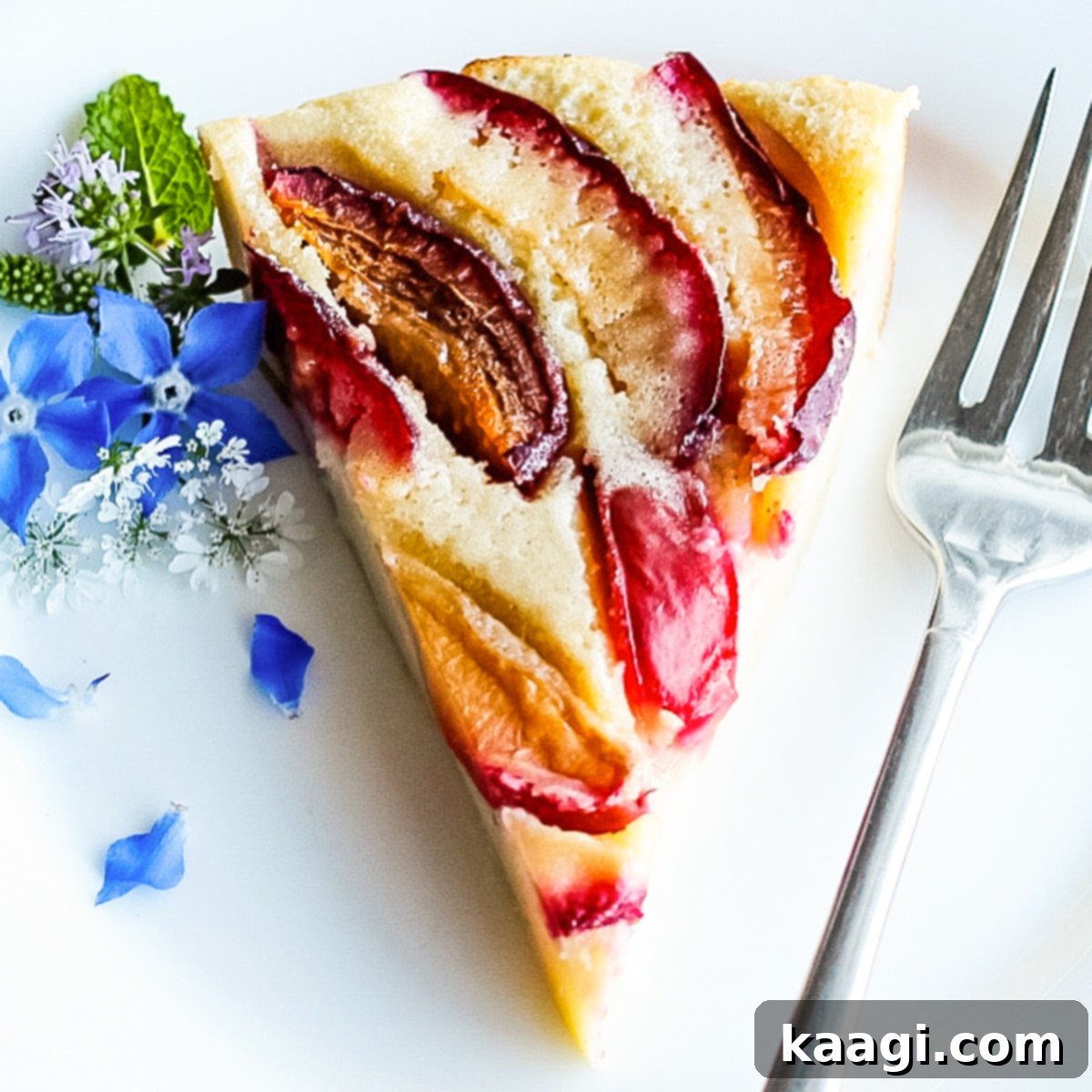 A beautifully baked Easy Plum Flan, showing sweet purple plums nestled in a creamy vanilla custard.