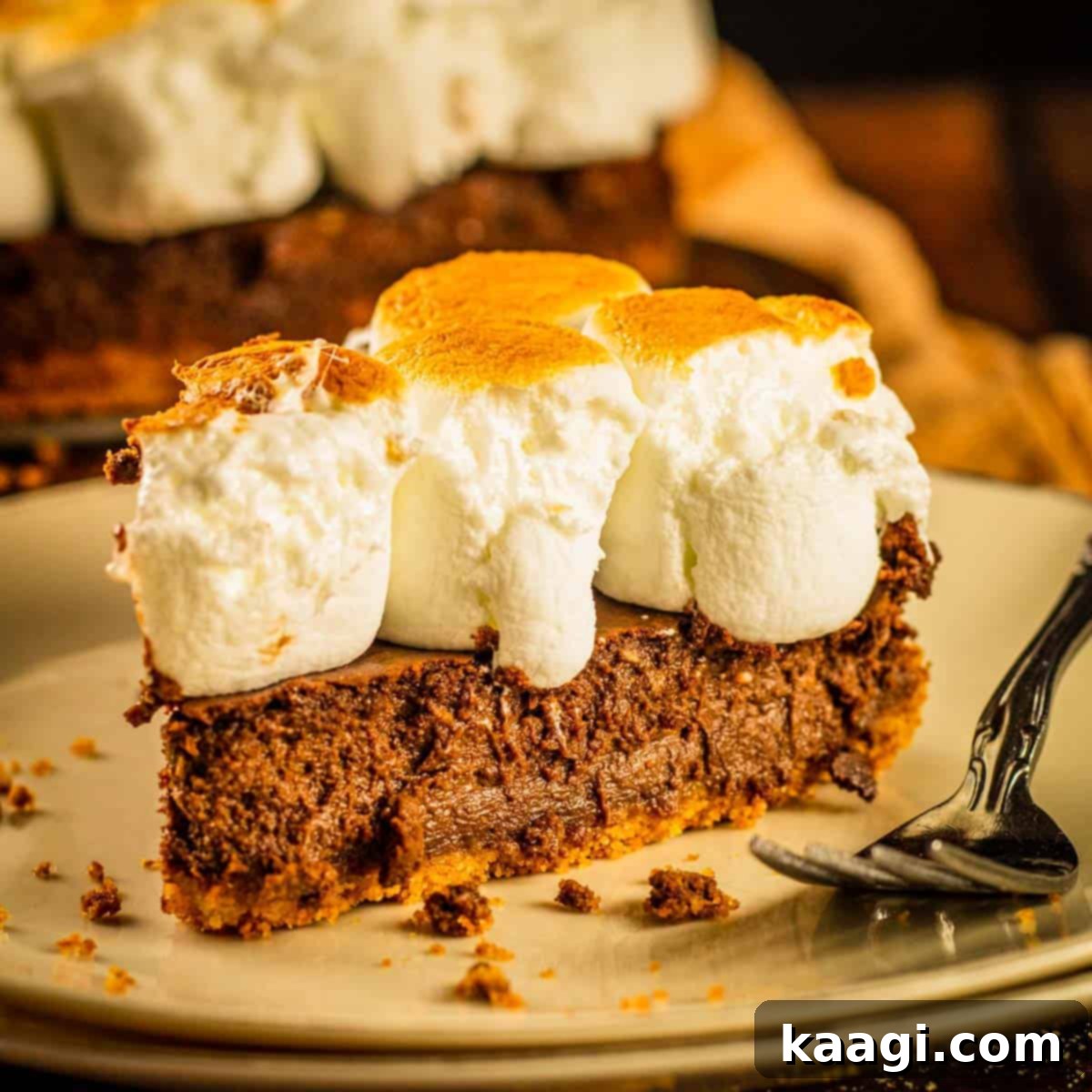 Smores Cheesecake Recipe, featuring a slice with rich chocolate cheesecake, toasted marshmallows, and a graham cracker crust.