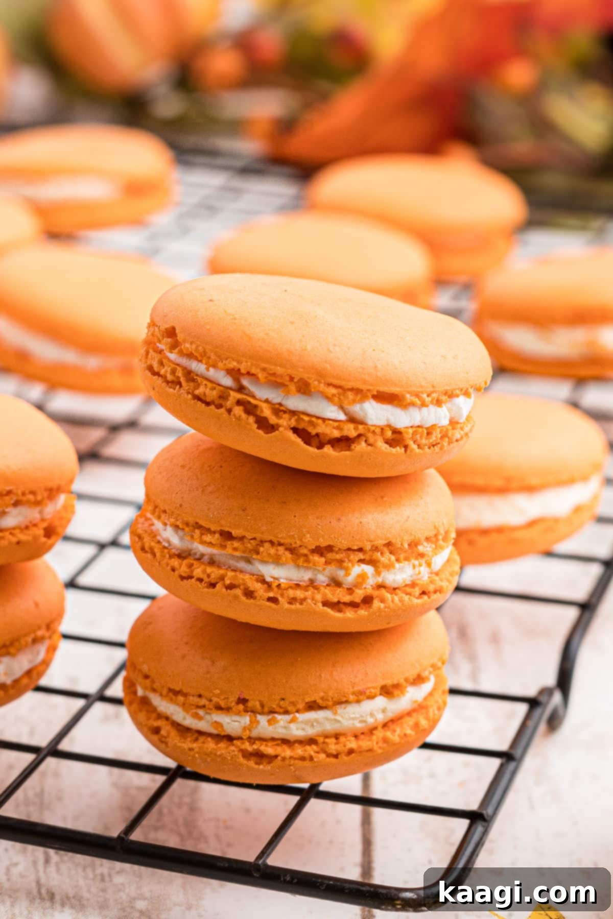 Harvest Pumpkin Macaron Bites 5 A close up of 3 perfectly baked pumpkin spice macarons stacked elegantly, highlighting their delicate feet and inviting orange hue.