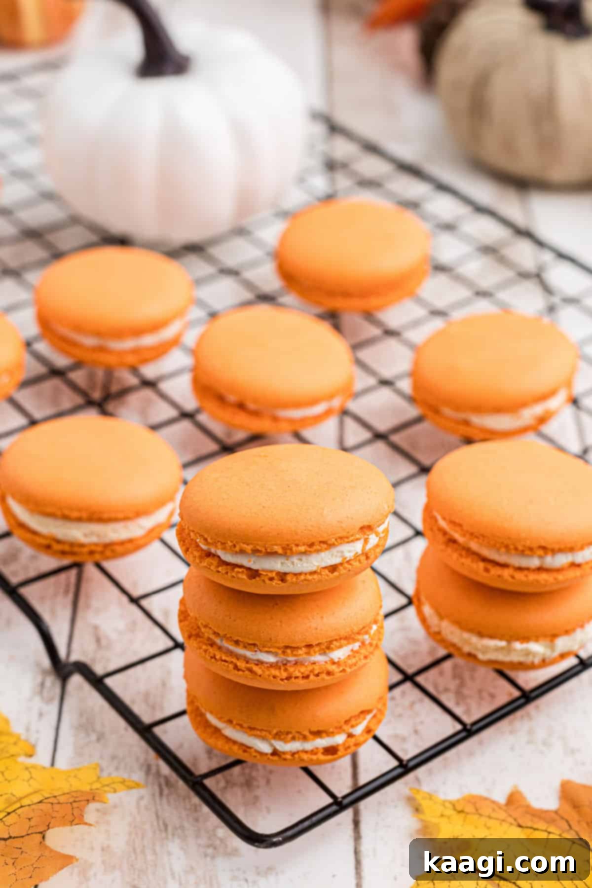 Harvest Pumpkin Macaron Bites 6 A wire rack generously piled with freshly baked pumpkin spice macarons, cooling down after being carefully removed from the oven.