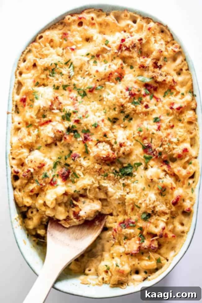 A dish of The BEST Lobster Mac and Cheese Recipe, golden and bubbly.