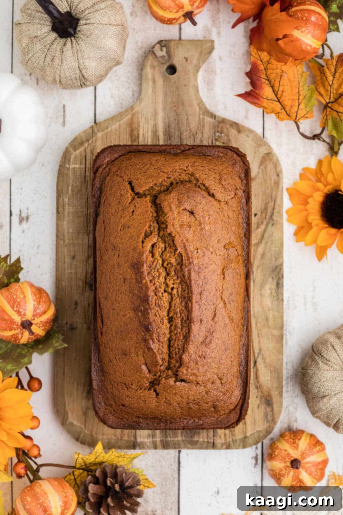 Overhead shot of an entire loaf of freshly baked Amish Pumpkin Bread, perfectly golden brown and inviting.