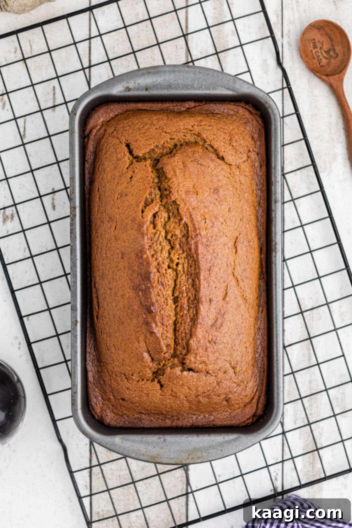 A freshly baked Amish Pumpkin Bread loaf, golden brown and still in its baking pan, resting on a wire cooling rack.