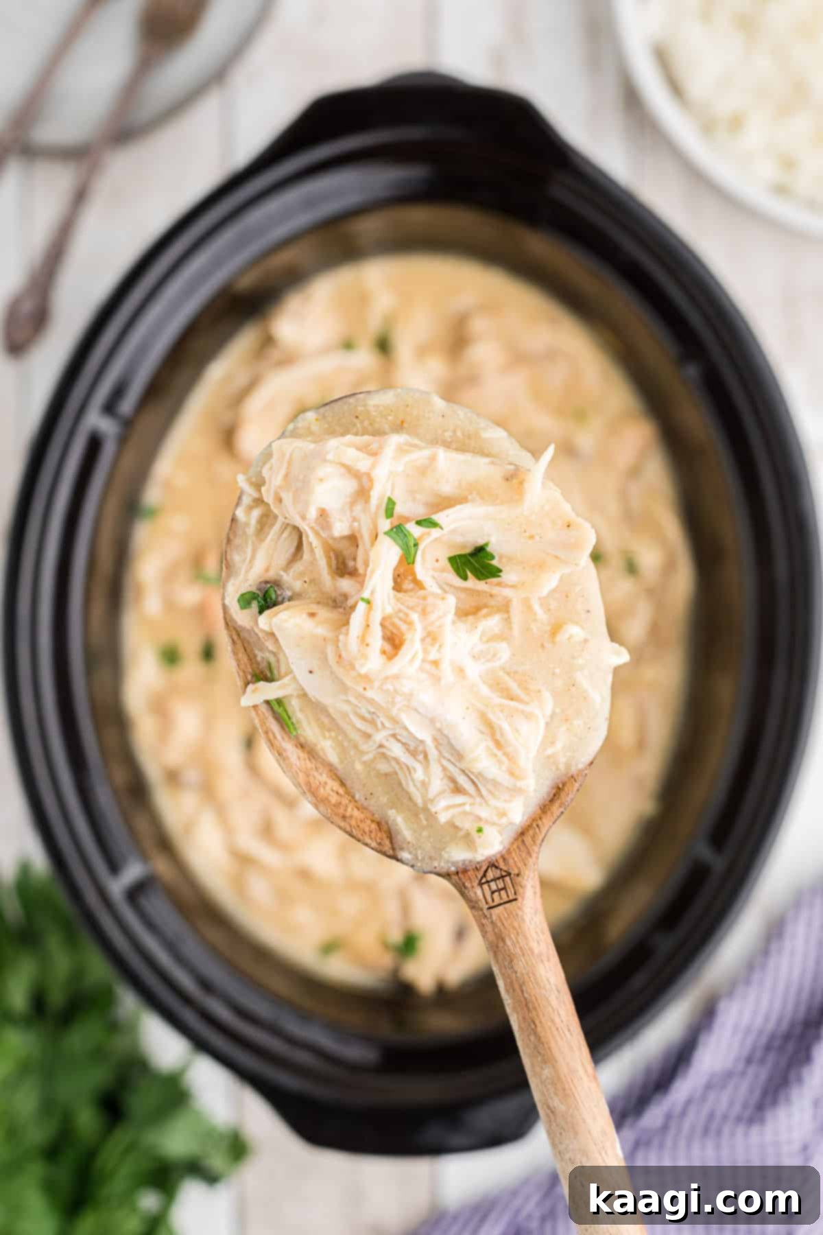 A spoon up close with shredded chicken and gravy on it, ready to be eaten, with a crock pot underneath, highlighting the creamy texture.