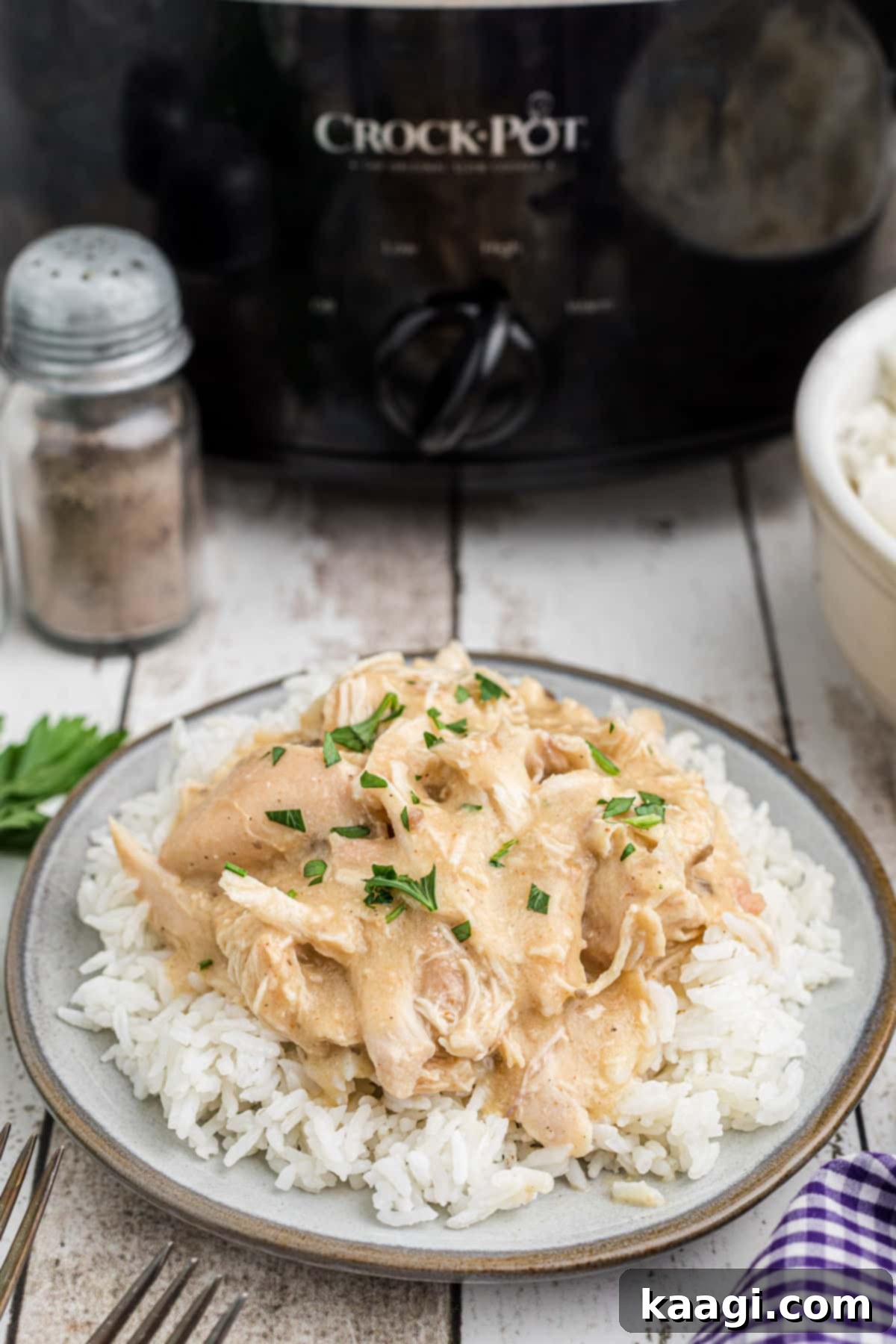 A dished up plate of chicken and gravy on rice in front of a crock pot, showcasing a complete, heartwarming meal ready for dinner.