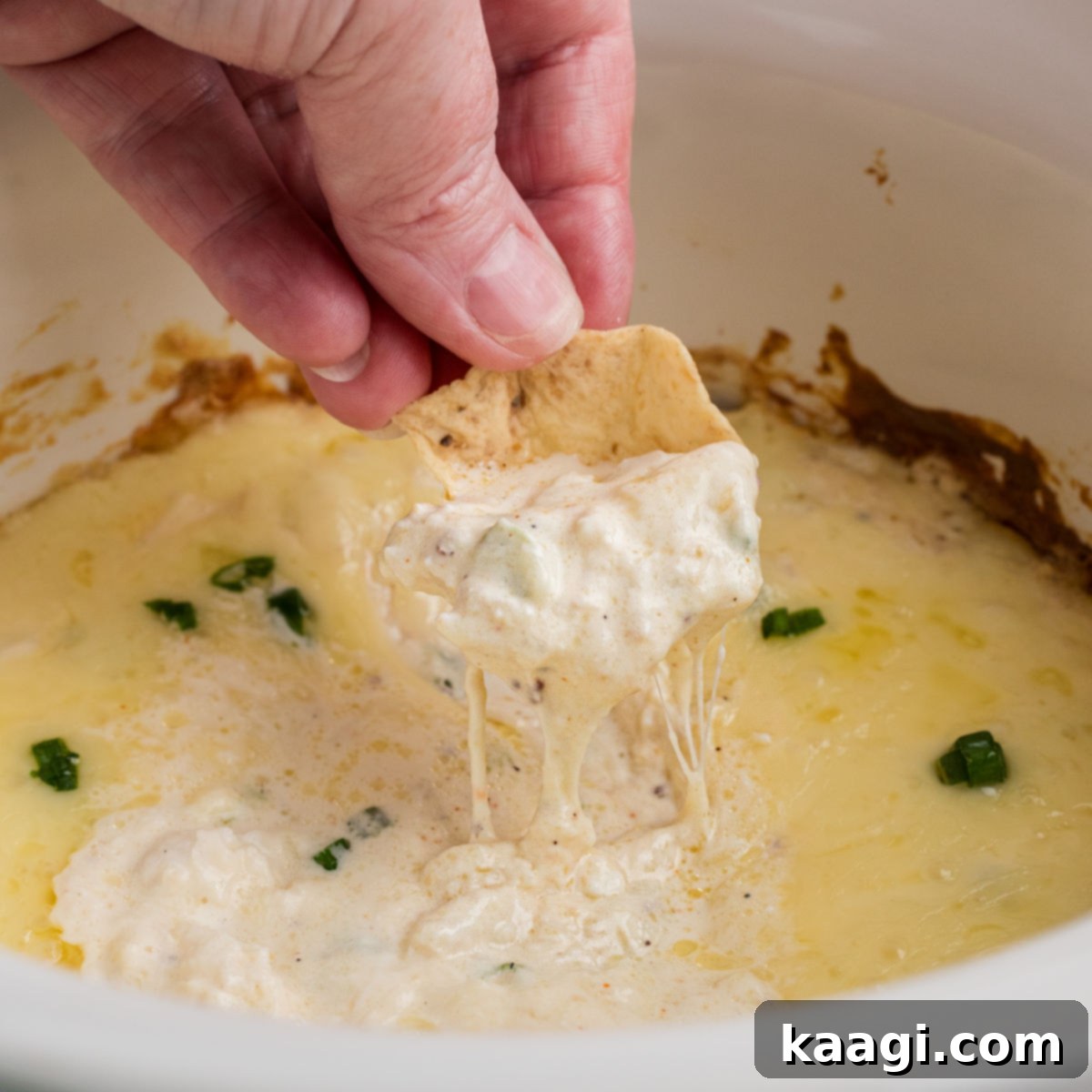 Chip being dipped into hot crab dip, made in the crock pot.