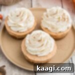 An overhead shot of 3 no bake mini pumpkin pies, each with whipped cream and spice.